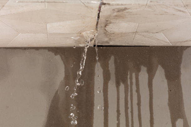 Professional Burst Pipe Cleanup technician working in Hamilton, AL